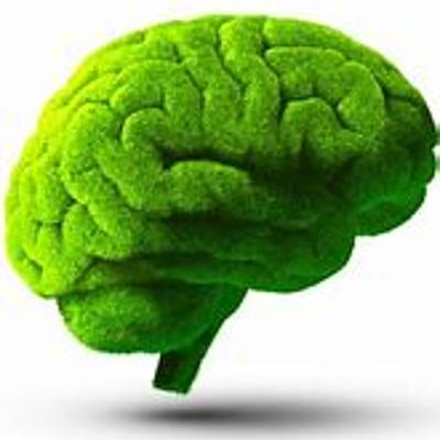 Timeline: Antecedentes de la Psicología Ambiental