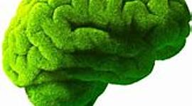 Timeline: Antecedentes de la Psicología Ambiental