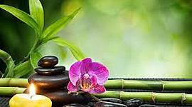 Timeline: Tarea 1 Terapias Naturales