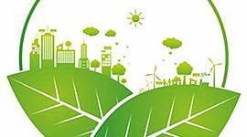 Timeline: Psicologia Ambiental