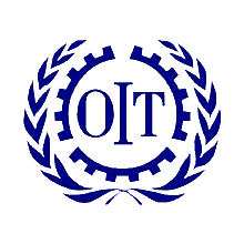 Organización internacional del trabajo