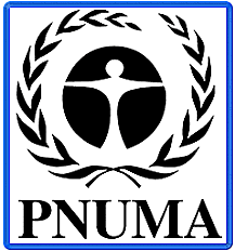 Declaración de las Naciones Unidas para un Nuevo Orden Económico Internacional.(PNUMA.)