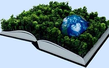 Definición de Desarrollo Sustentable