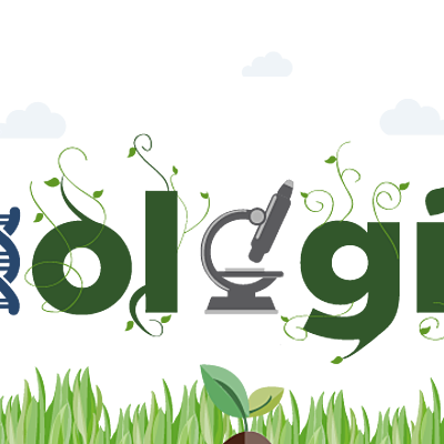 Timeline: Etapas De La Biología