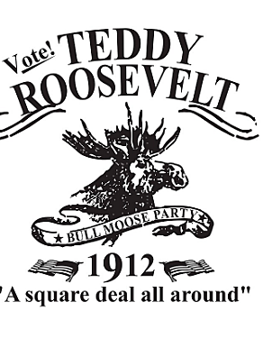 Runs for presidency, unsuccessfully for Bull-Moose Party