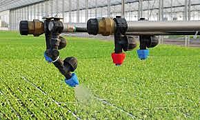 se encontraron ventajas en el fertirriego