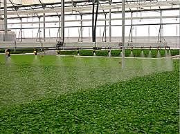 desarrollo de la técnica de la fertirrigacion