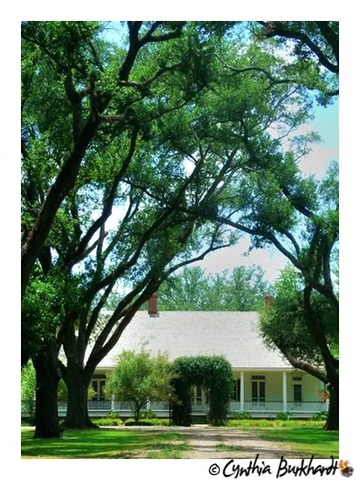 Here comes the bride! Married Will Burley in Natchitoches