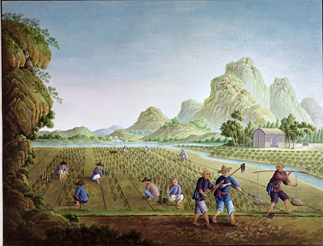 Europe is a farming economy