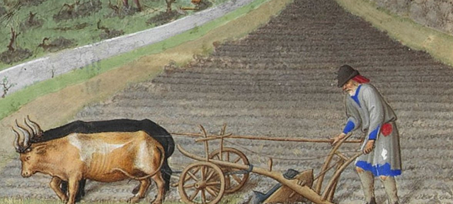 Europe is a farming economy