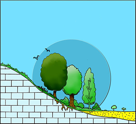 Desarrollo de la noción de espacio vital