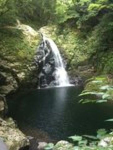 Married Atsuyuki Naka of Nishitawara, Japan