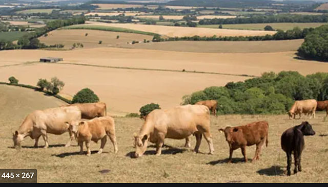 Europe is a farming economy