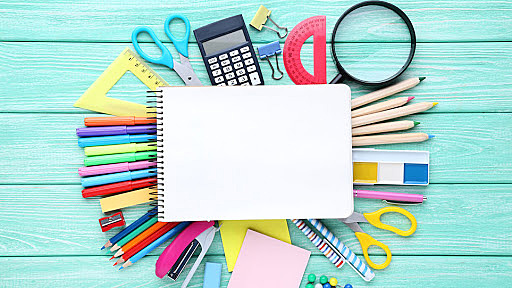 Ingreso al sistema escolar