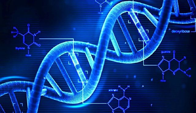 Descubrimiento del DNA