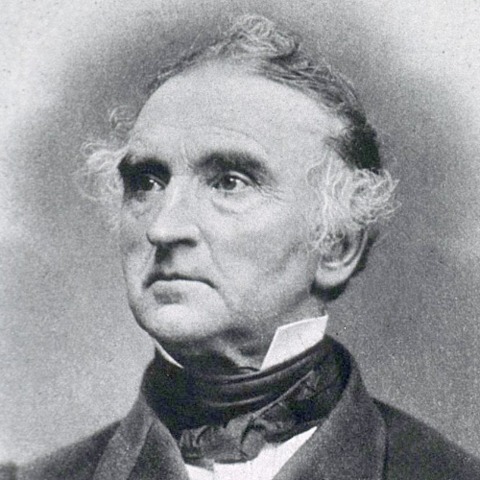 Alimentos en combustibles energéticos y estructurales