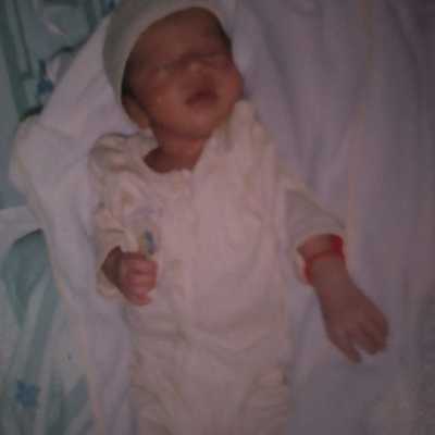 Timeline: DIANA DORADO