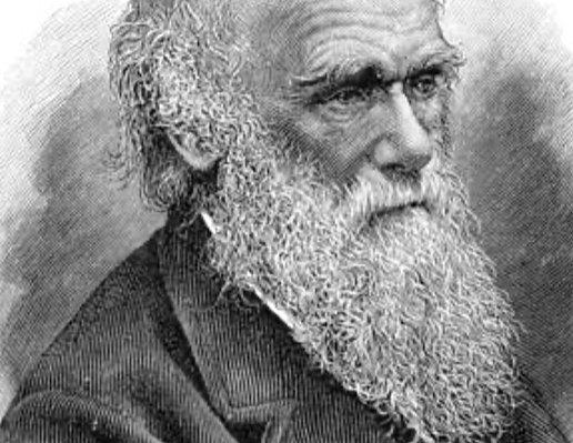 Darwin
