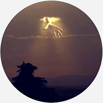 How Do They Treat Disease?