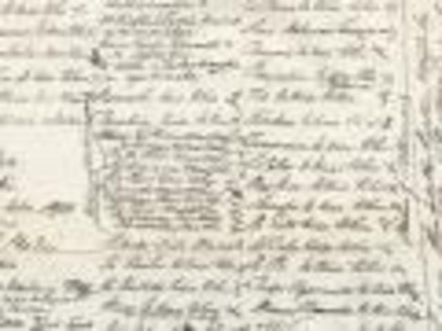 Creation of the Treaty of Waitangi Tribunal