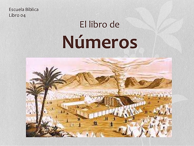 LOS NÚMEROS
