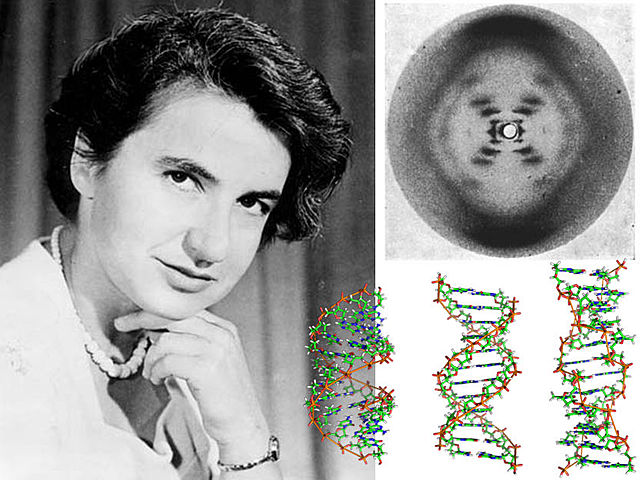 Maurice Wilkins y Rosalind Franklin