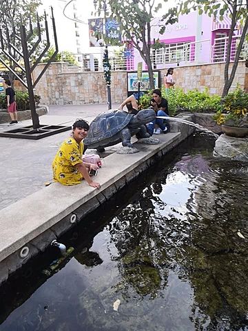 Vacaciones a Puerto vallarta