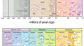 Timeline: Geokronoloogiline skaala Oliver R2