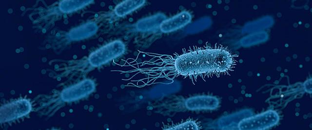 Arhaikum ehk ürgeoon