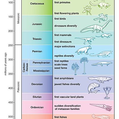 Timeline: Geokronloogiline skaala Serena EV