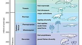 Timeline: Geokronloogiline skaala Serena EV