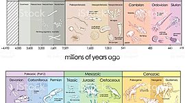 Timeline: Geokronoogiline skaala Susanna G2EV