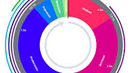 Timeline: GEOKRONOLOOGILINE SKAALA GEORG MARTIN SAI G2R1