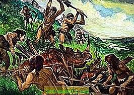 KAP 1 Mennesker befolker verden