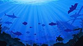 Timeline: Historical Discoveries related to Oceanography