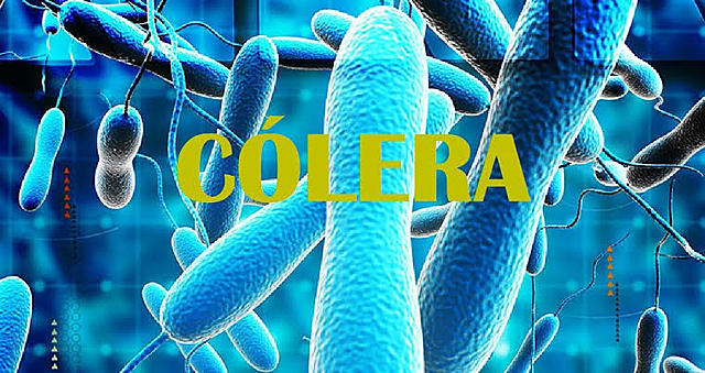 Cólera