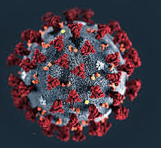 Coronavirus