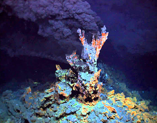 Discovery of Hydrothermal Vents