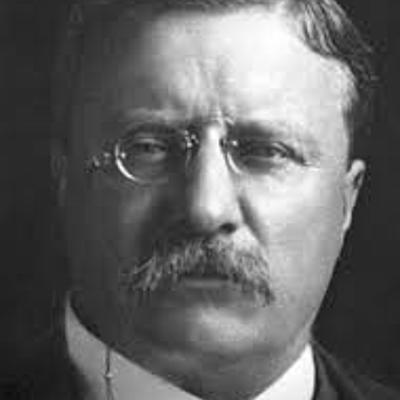 Timeline: Theodore roosevelt
