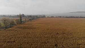 Europe is a Farming Economy