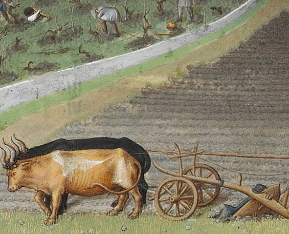 Europe is a farming economy