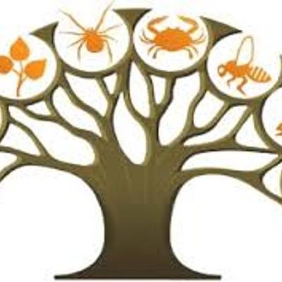 Timeline: Hitos en la historia de la biología evolutiva