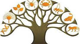 Timeline: Hitos en la historia de la biología evolutiva