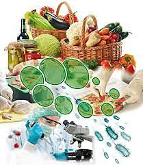 Microbiología de alimentos.