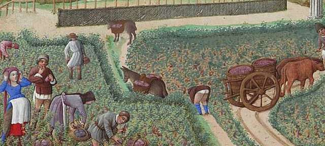 Europe is a Farming Economy (Feudalism)