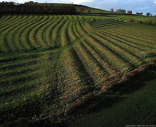 Europe is a Farming Economy (Feudalism)