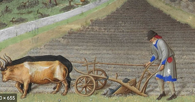 Europe is a Farming Economy