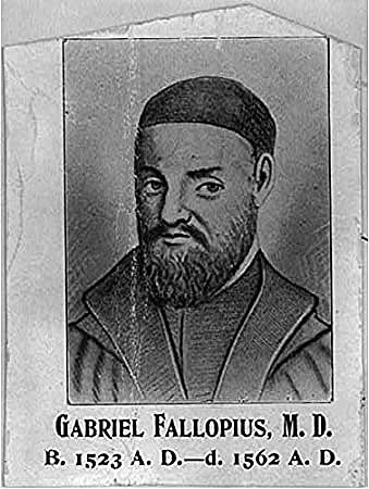 Gabriel Fallopius