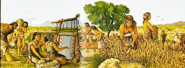 Desarrollo de la Agricultura
