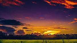 Timeline: HISTORIA DEL JOROPO